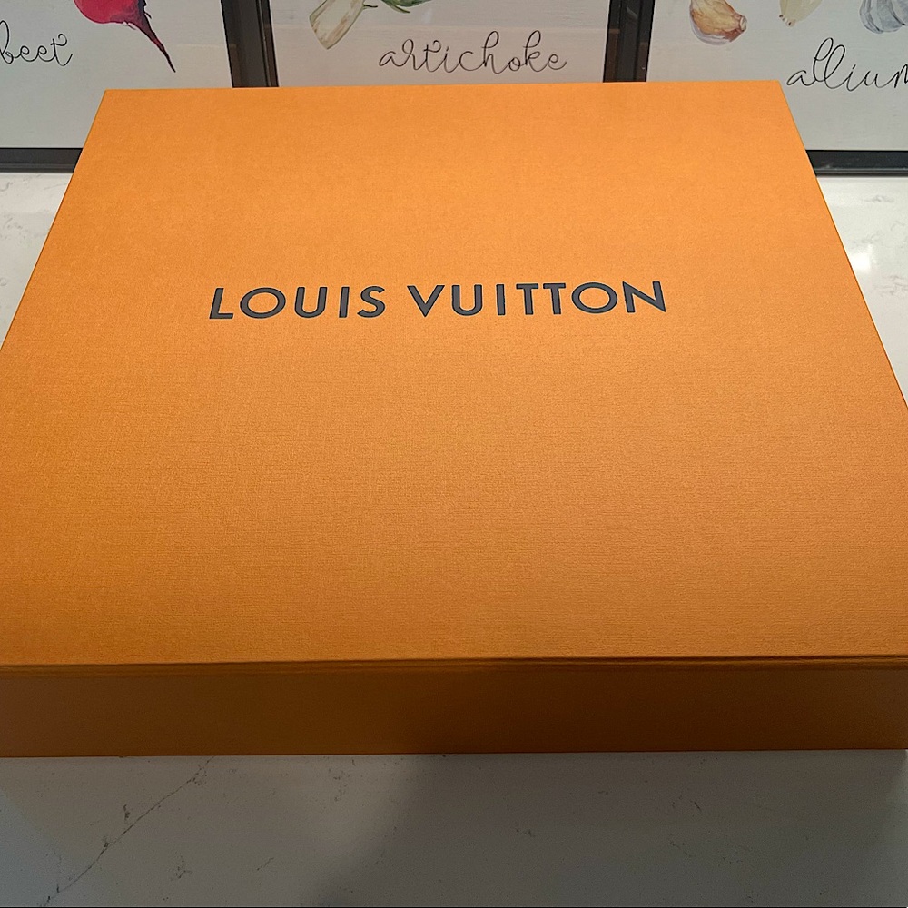 Louis Vuitton Box